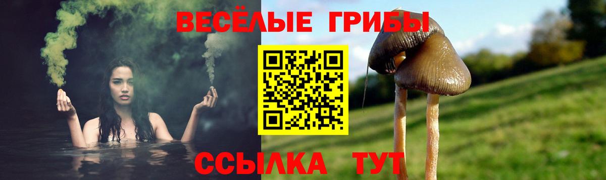 Галлюциногенные грибы Psilocybe  Вход с VPN  Симферополь  Псилоцибиновые грибы MAGIC MUSHROOMS 